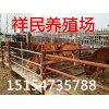 200斤小黄牛出售价格