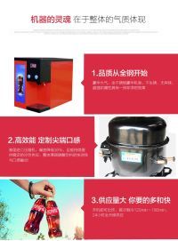 瓶裝可口可樂機(jī)飲料機(jī)價(jià)格圖片
