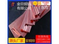 T4國標(biāo)紅銅排 國標(biāo)紅銅條 c1100紫銅排 銅排t2