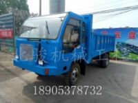 廣州五十鈴后橋自卸車 雙人遙控拉樓板車 拉木頭四不像車