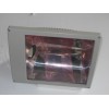 SBF6109免维护节能防水防尘防腐泛光灯