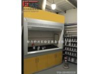 進(jìn)口品質(zhì)4S店調(diào)漆間全鋼排毒柜 生產(chǎn)商