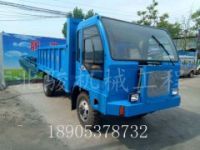福建雙缸拉木頭四不像車 四不像爬山虎 地下無軌膠輪運(yùn)輸車