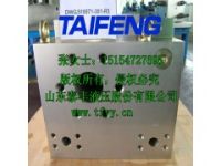 山東泰豐TZW-H6C1二通插裝閥