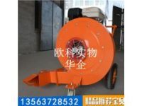 大功率汽油庭院落葉清掃吹風(fēng)機9馬力手推式吹風(fēng)機