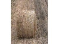 牧草苜蓿草杂草打捆包膜机 青饲料打捆储存机