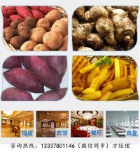 TB2Eo01pMJlpuFjSspjXXcT.pXa_!!12151497