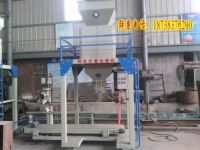 IMG_20131215_115653_conew2