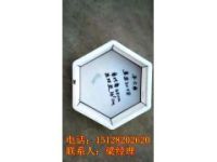 水利護(hù)坡塑料模塊、六角磚模盒模具型《詳細(xì)價格》