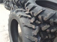 9.5-24抓地虎_副本