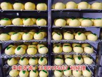 85蘋(píng)果包-6