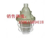 BAD51隔爆型防爆燈 100W防爆金鹵燈