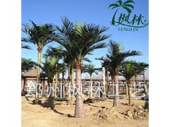 河南枫林人造椰子树厂家定制室内外酒店宾馆广场专用假椰子树