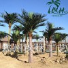 河南枫林人造椰子树厂家定制室内外酒店宾馆广场专用假椰子树