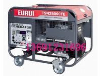 東洋發(fā)電機(jī)TSN26000TE