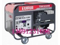 東洋汽油發(fā)電機(jī)TSN16500E