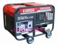 進(jìn)口汽油發(fā)電機(jī)TSN14000E