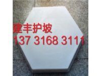 混凝土護(hù)坡鋼模具 框格護(hù)坡鋼模具