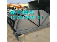 小區(qū)化糞池模具 小區(qū)化糞池鋼模具