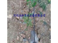 小管出流工程设计 陕西安康市石泉县果树水管灌溉设备