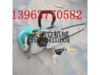 ZGS-500型電動金剛石鏈鋸  380V礦用電動鏈鋸切煤機