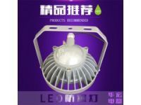 BAD808-H(I) 防水防爆LED燈30W/20W 成都