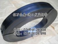 福州SAE1065發(fā)藍彈簧鋼帶