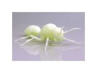 深圳3d打印手板廠--蜜蜂手板模型SLA加工