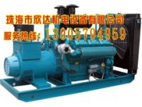 中山通柴帕歐柴油發(fā)電機組_珠海通柴發(fā)電機組_發(fā)電機供貨及安裝