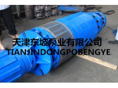 单相多级深井潜水泵-天津东坡泵业深井泵