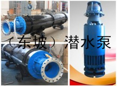 天津东坡泵业  QJR耐热深井潜水泵