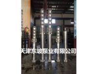天津东坡泵业  高扬程潜水泵  高扬程井用潜水泵
