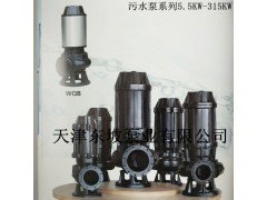 天津立式潜水排污泵-搅拌式潜水排污泵