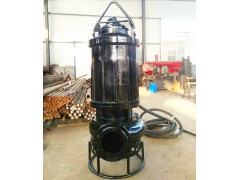ZSQ8寸潜水煤泥泵 洗煤厂及火电厂常用