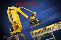 全自動(dòng)碼垛機(jī)