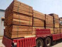 紅雪松無節(jié)材多少錢一立方-程佳紅雪松批發(fā)