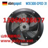 德国EBM W2E300-CP02-31 220V
