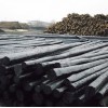专业生产各种规格型号防腐油木杆6—10米