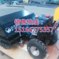 手扶式掃雪機(jī) (20)