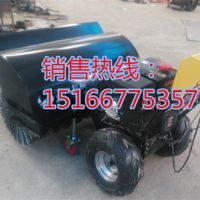 小型掃雪機(jī) (21)