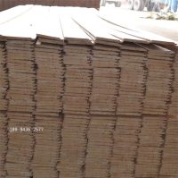 110的云杉_看圖王