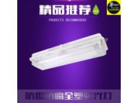 BAY51  防爆防腐全塑熒光燈（LED）