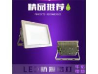 BAD808-L2 100W防爆LED泛光燈LED防爆路燈頭