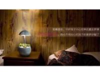 種植蛋陽臺種植設備水培種植設備無土栽培