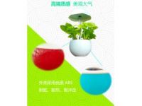植物凈化器科普教材全智能種植蛋