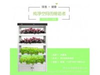 凈化制氧種植機(jī)無土栽培設(shè)備 陽臺(tái)種菜設(shè)備