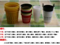 栽培籃/陽臺種菜/無土栽培設備 水培/專用帶掛鉤定植籃