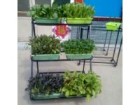 陽臺種菜架種菜盆基質(zhì)種菜架潤康園廠家批發(fā)無土栽培
