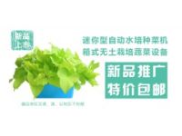 迷你型自動(dòng)水培種菜機(jī)/箱式無(wú)土栽培種植移動(dòng)植物凈化器