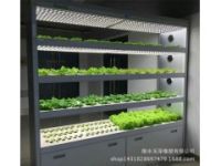 酒店 學(xué)?？Х葟d家庭型蔬菜種植機(jī)植物凈化器